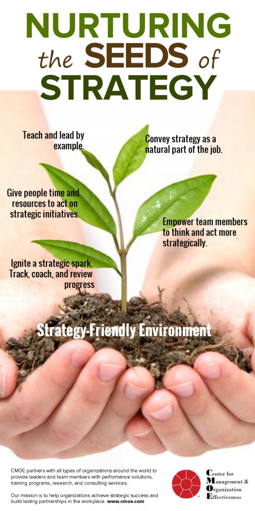 Nurturing Seeds of Strategy
