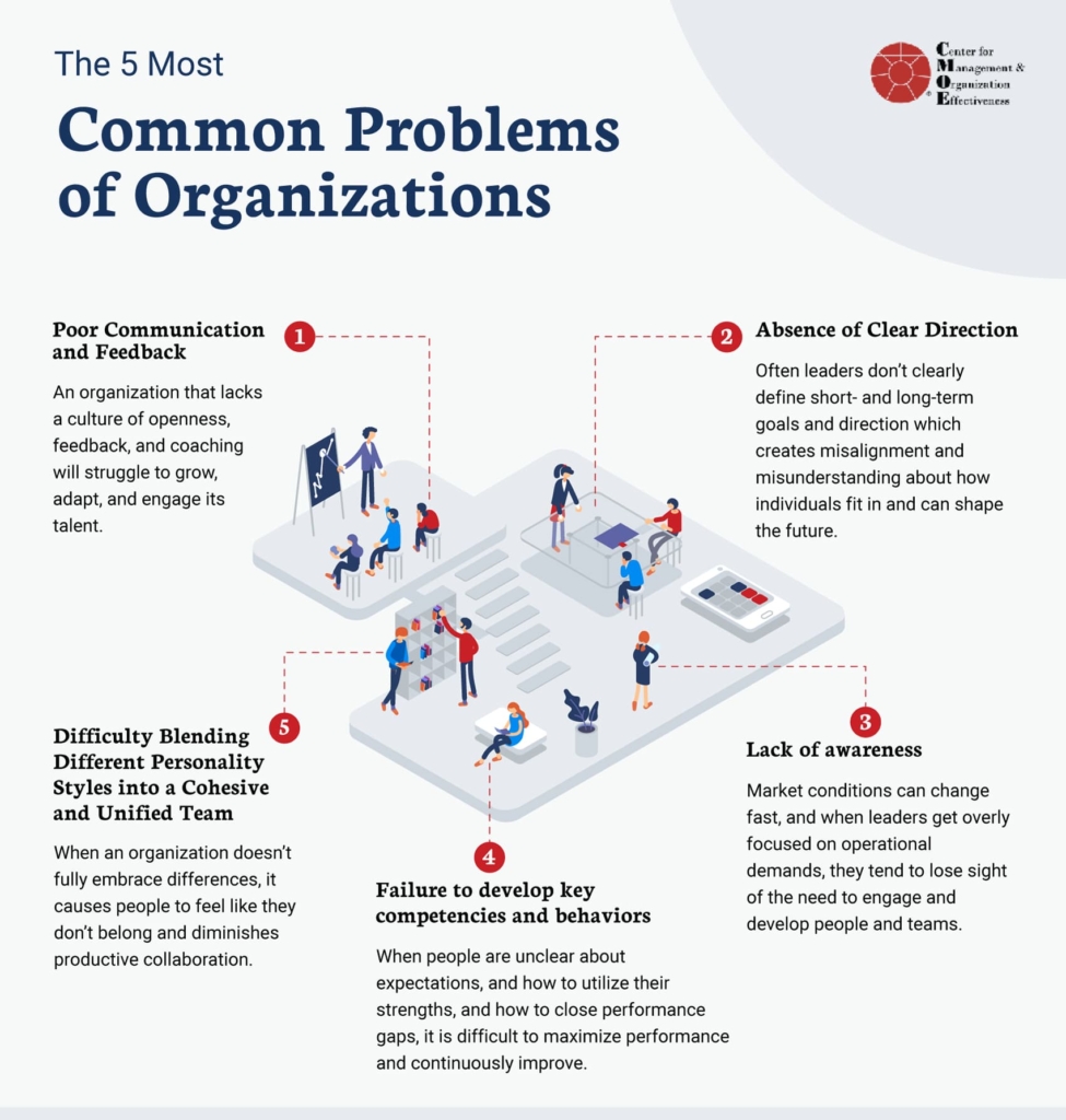 common problems of organizations infographic
