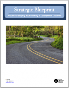 Download the Strategic Blueprint